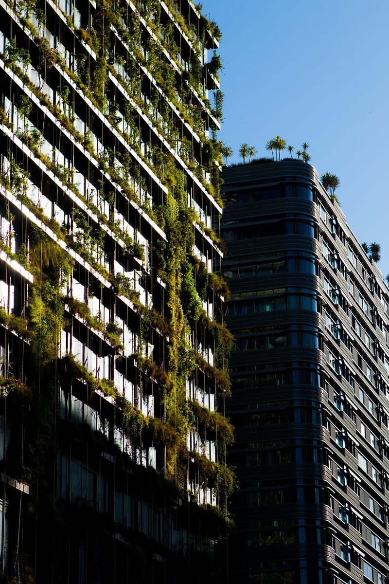 Eco-Friendly Living